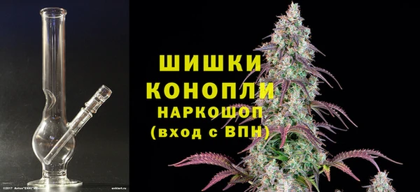 ПСИЛОЦИБИНОВЫЕ ГРИБЫ Киренск