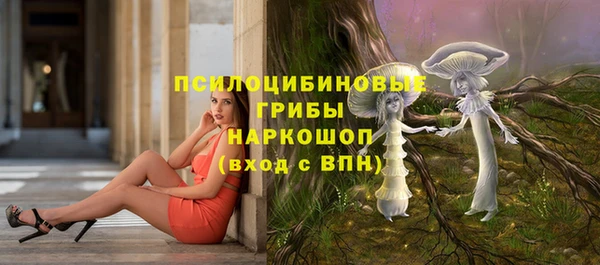 ПСИЛОЦИБИНОВЫЕ ГРИБЫ Киренск