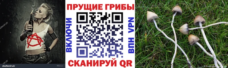 Псилоцибиновые грибы MAGIC MUSHROOMS  Купить где  Белинский 